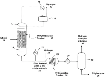 Gambar 2.3 Diagram Alir Proses Dehidrogenasi Hidrogen [17] 