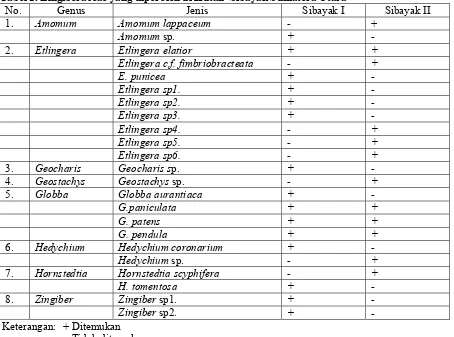 Tabel 1. Zingiberaceae yang diperoleh di Hutan  Sibayak Sumatera Utara 