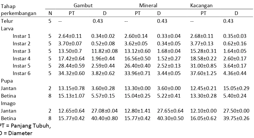 Tabel 2. Ukuran pradewasa dan imago S. litura pada daun kelapa sawit asal tanah gambut, mineral dan kacangan (mm)