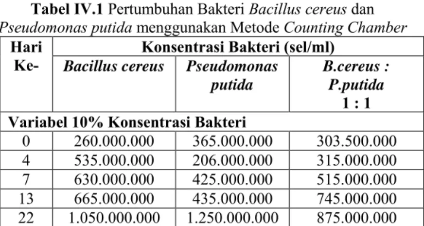 Tabel IV.1 Pertumbuhan Bakteri Bacillus cereus dan  Pseudomonas putida menggunakan Metode Counting Chamber 