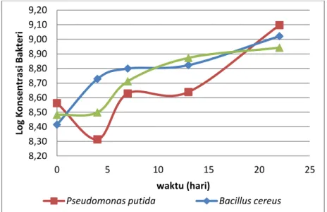 Grafik  pertumbuhan  bakteri  menggunakan  metode  counting  chamber  untuk  ketiga  variabel  disajikan  pada  gambar  IV.1 dan IV.2 