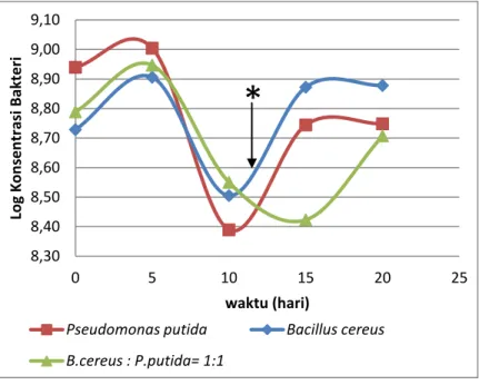 Gambar IV.2 Grafik Pertumbuhan Bakteri pada 3 Variabel  Konsentrasi Bakteri Bacillus cereus dan Pseudomonas putida 