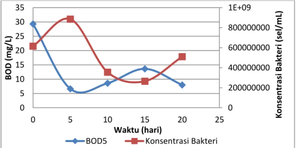 Gambar IV.6 Grafik Perbandingan BOD dengan Pertumbuhan  Bakteri terhadap Waktu pada Bakteri B
