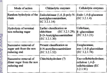 Table 2-4. Nomenclature of chitinokytic and celluloZytic enzymes 