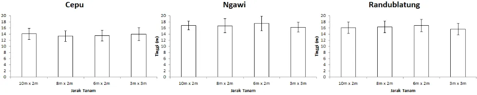 Gambar 1. Tinggi jati klon unggul umur 6 tahun pada 3 lokasi 