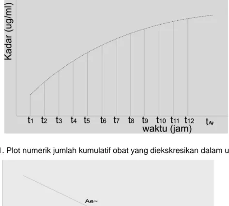 Gambar 1. Plot numerik jumlah kumulatif obat yang diekskresikan dalam urin vs waktu 