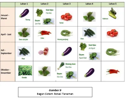 Gambar 9 Bagan Sistem Rotasi Tanaman 