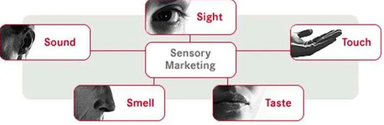 Gambar 1.1 Sensory Marketing 