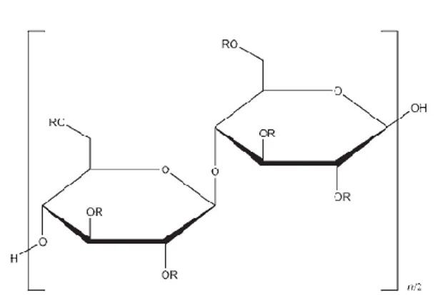 Gambar 4. Struktur HPMC (Rowe et al., 2009) 