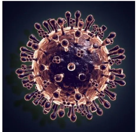Gambar 3. Agent penyakit flu burung (avian influenza virus) 