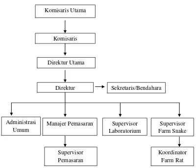 Gambar 3. Struktur organisasi PT.Hetts Biolestari  