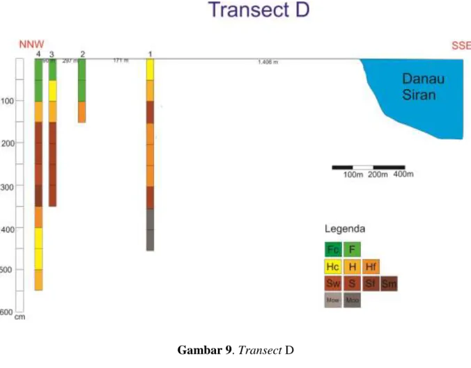 Gambar 9. Transect D 