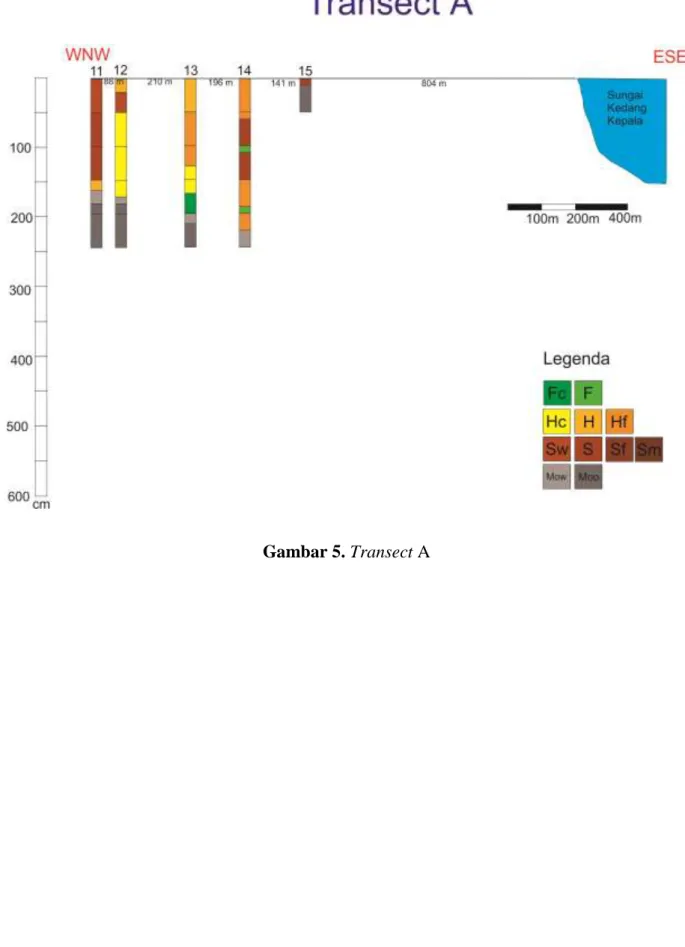 Gambar 5. Transect A 