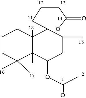 Gambar : Struktur senyawa Galaticat, C16H24O4 diterpen yang 