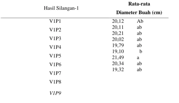 Tabel 4. Rata-rata Diameter Buah Hasil Silangan-1 (HS-1)  
