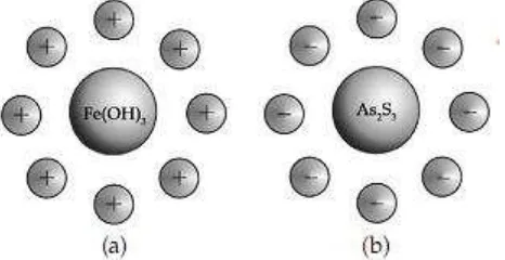 Gambar 5 (a) Sol Fe(OH)3  bermuatanpositif, (b) Sol As2S3 bermuatan negatif 