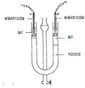 Gambar 6 Pembuktian Elektroforesis 