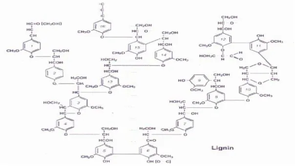 Gambar 2.6. Senyawa Penyusun Lignin (Sumber: Perez et al., 2002) 