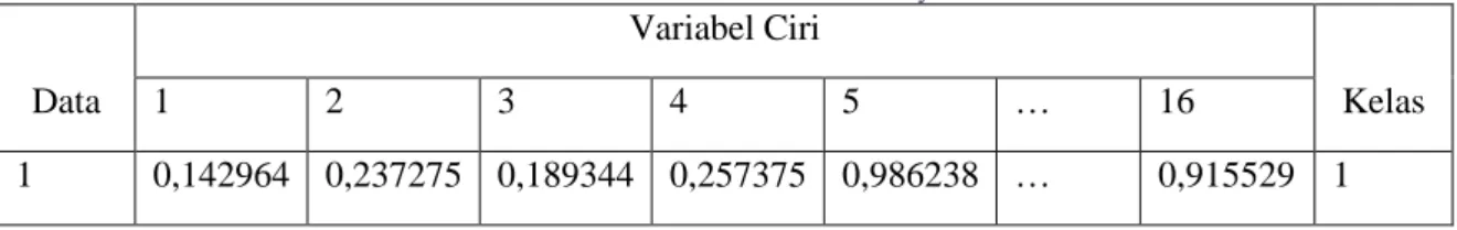 Tabel 4. Data Hasil Ekstraksi Ciri Grayscale 