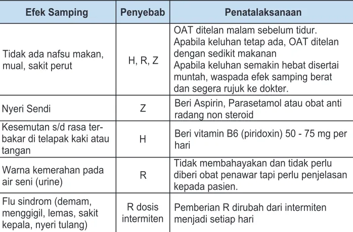 Tabel 13. Efek samping ringan OAT