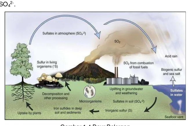 Gambar 1.4 Daur Belerang (Sumber: http://clinicalgate.com/microorganisms-in-the-environment-and-environmental-safety/) 