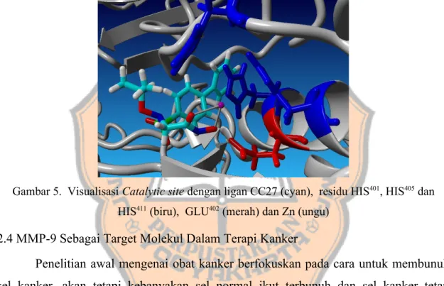 Gambar 5.  Visualisasi Catalytic site dengan ligan CC27 (cyan),  residu HIS 401 , HIS 405  dan