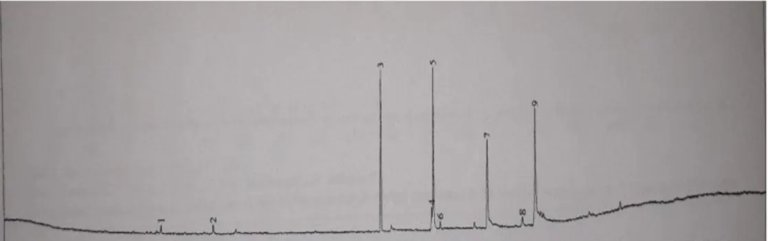 Gambar 10.  Kromatogram Biodiesel Katalis Hidrotalsit 
