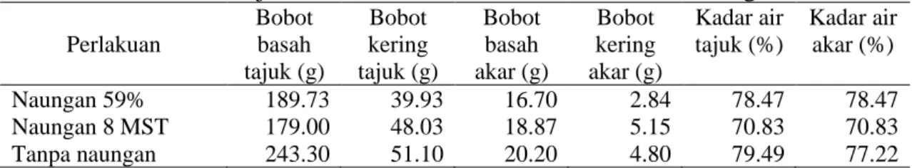 Tabel 4. Karakteristik Tajuk dan Akar Tanaman Kedelai Varietas Ceneng  Perlakuan  Bobot basah  tajuk (g)  Bobot kering  tajuk (g)  Bobot basah  akar (g)  Bobot kering  akar (g)  Kadar air tajuk (%)  Kadar air akar (%)  Naungan 59%  189.73  39.93  16.70  2.