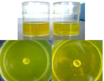 Gambar 6.  Foto  setelah  penyimpanan  28  hari  pada  suhu  25 o C;  gel  kompleks  inklusi  jernih  (kiri)  dan  pada  gel  kurkumin  telah  terbentuk  endapan  (kanan) Pada  penelitian  Wang  dkk