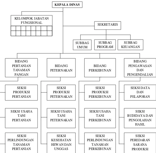 Gambar 3.1 Bagan Struktur Organisasi Dinas Pertanian Kabupaten Deli Serdang  