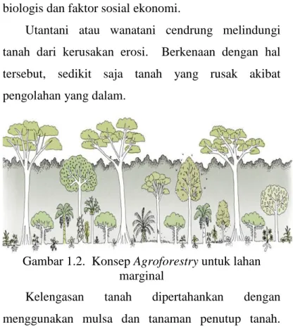 Gambar 1.2.  Konsep Agroforestry untuk lahan  marginal 