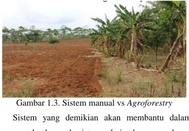 Gambar 1.3. Sistem manual vs Agroforestry   Sistem  yang  demikian  akan  membantu  dalam  mempertahankan  ekosistem  daripada  merusaknya