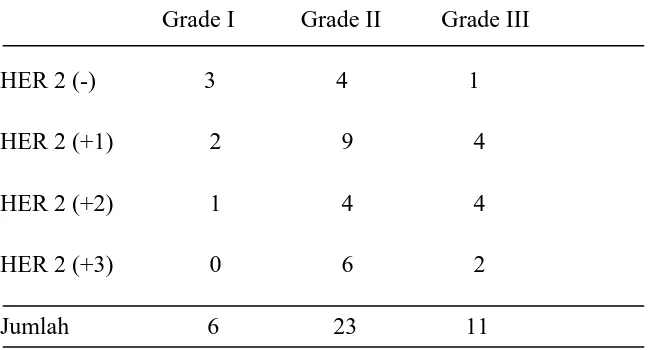 Tabel 4.1.4 Jumlah pemeriksaan grading dan HER 2 