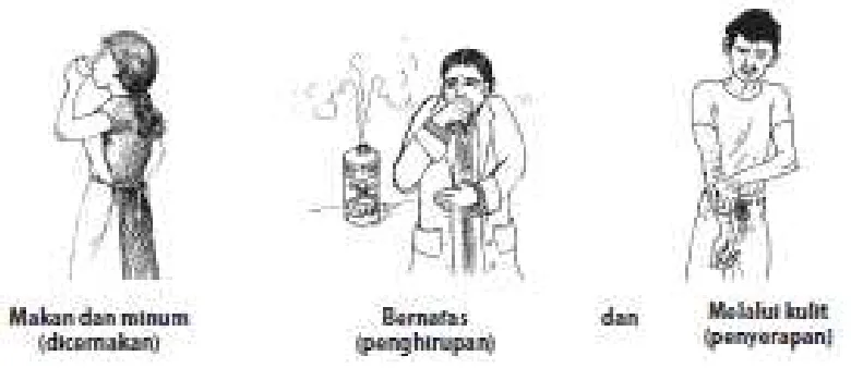 Gambar 1. Proses input Hexavalent Chromium (Cr-VI) bagi manusia  