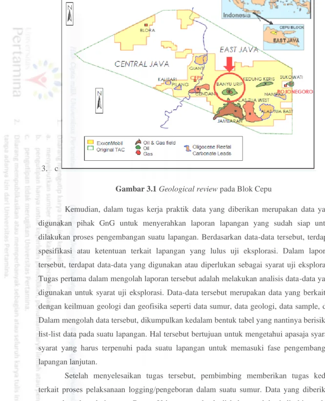 Gambar 3.1 Geological review pada Blok Cepu 