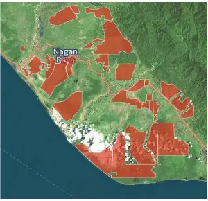 Figure 1. Distribution Map of Palm Oil Plantation Land in Nagan Raya