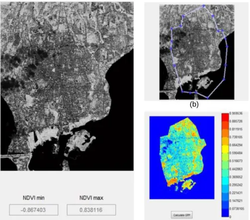 Gambar 5. Proses pada Panel NDVI 