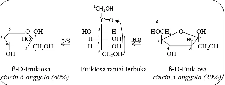 Gambar 5. Reaksi fruktosa bila dilarutkan ke dalam air        Sumber. Fessenden dan Fessenden (1997)  