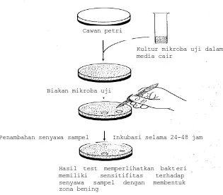 Gambar 2.4 Uji aktivitas antibiotika melalui metode difusi agar (Elliot, 1997) 