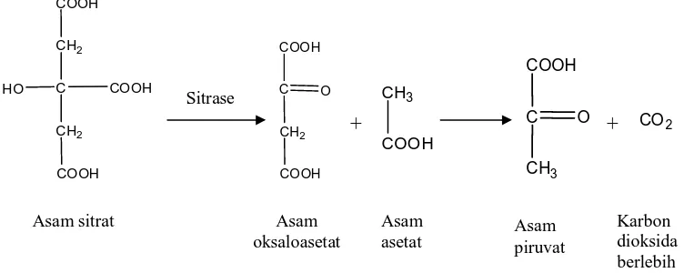 Gambar 2.7  Reaksi fermentasi sitrat secara enzimatik (Cappucino, 1987). 