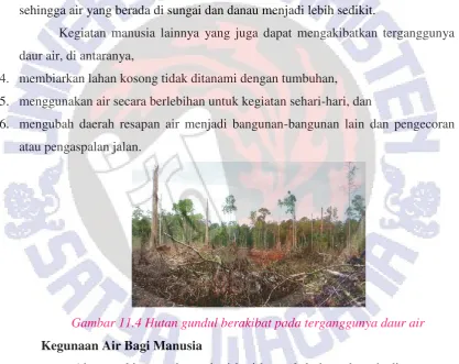 Gambar 11.4 Hutan gundul berakibat pada terganggunya daur air 