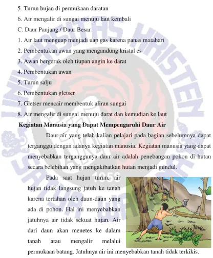 Gambar 11.3 Penebangan hutan berakibat pada berkurangnya 