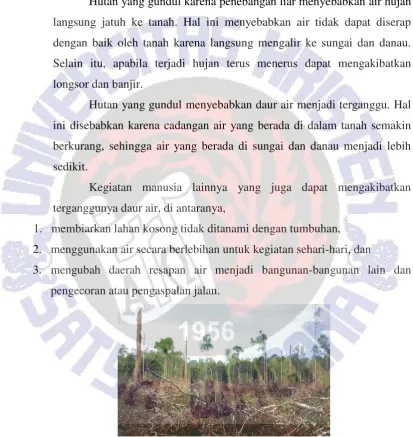 Gambar 11.4 Hutan gundul berakibat pada terganggunya daur air 