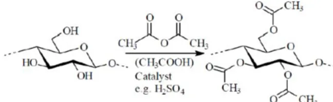 Gambar 1 Reaksi asetilasi selulosa  Pada  penelitian  ini  dilakukan  sintesis  selulosa  asetat  melalui  reaksi  esterifikasi  (asetilasi)        