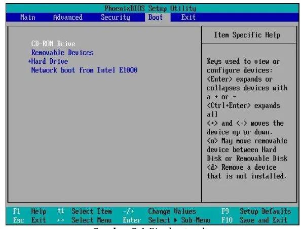 Gambar 3.1 Bios boot order 