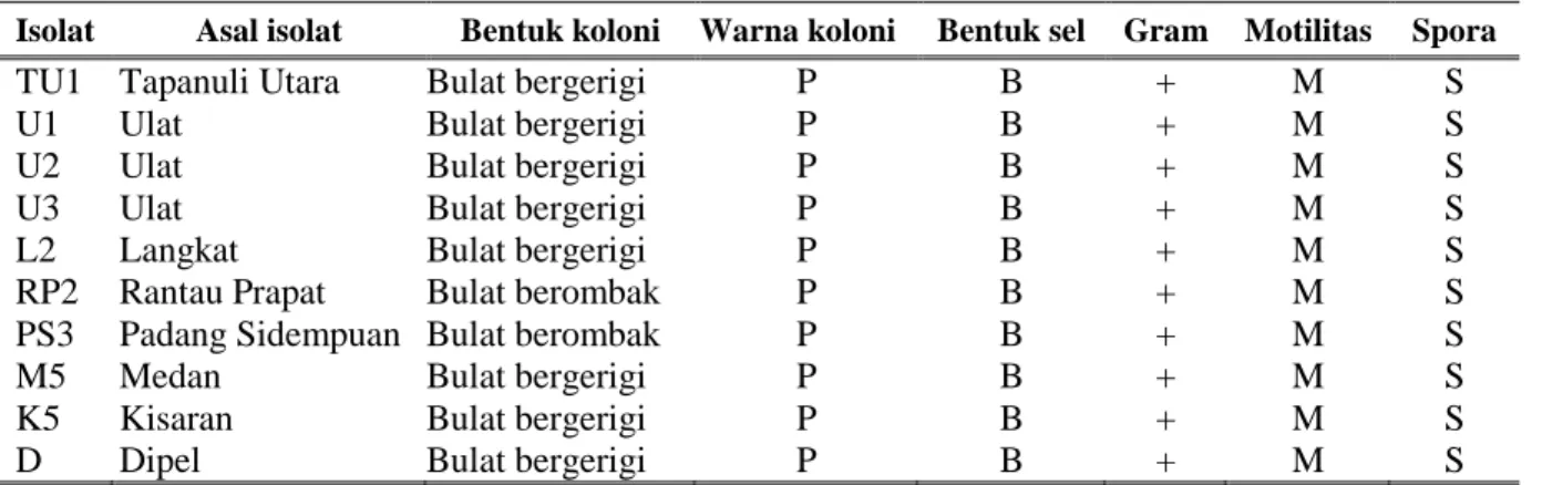 Tabel 1. Karakter morfologi sembilan isolate B. thuringiensis. 