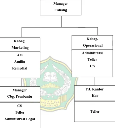 Gambar 1.1 Struktur Organisasi BMT Sepakat Sejahtera Bersama 