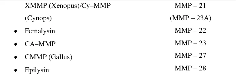 Tabel 2. Grup MMP (Amalinei, Caruntu & Balan, 2007). 