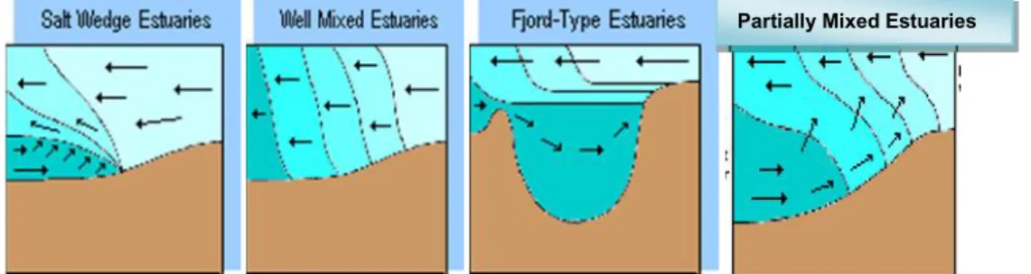 Gambar 7. Pencampuran air asin dan air tawar di estuary (sumber : Chay Asdak (2007)