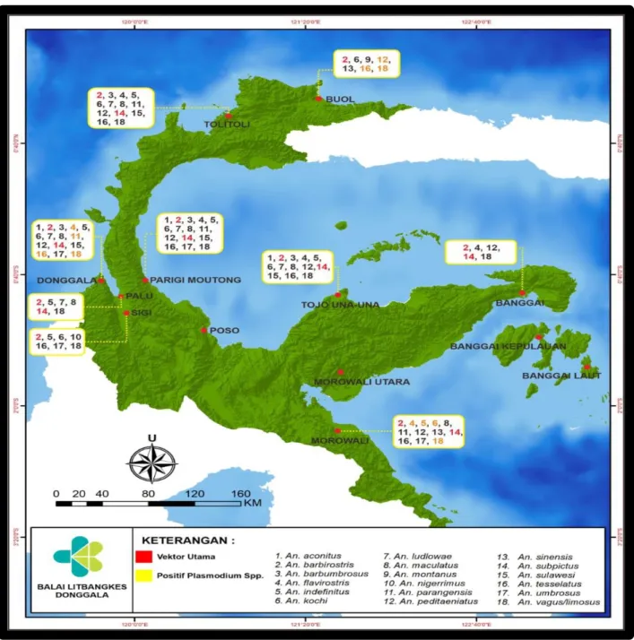 Gambar 2. Distribusi Anopheles di Propinsi Sulawesi Tengah 